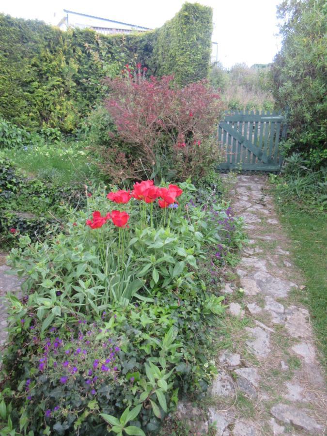 225 Buttercup Swanage Bay View - Vacation Home Buitenkant foto